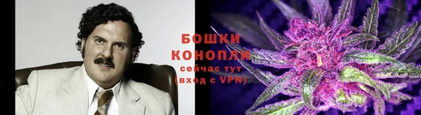 2c-b Абдулино