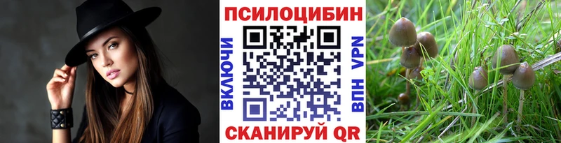 Псилоцибиновые грибы Psilocybine cubensis  Духовщина 